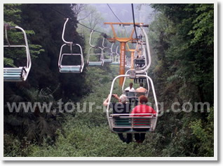 Chengdu Dujiangyan Mt.Qingchengshan Day Tour